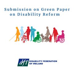 DFI Submission on Green Paper May 2024