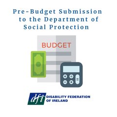 DFI Pre Budget 2025 Submission to DSP