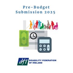 DFI Pre Budget Submission 2025
