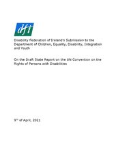 DFI Submission on the State's UN CRPD draft report