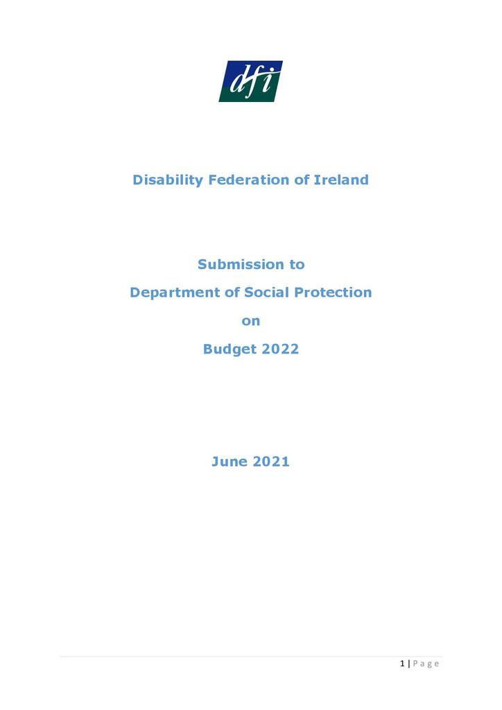 Publications Disability Federation of Ireland