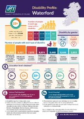 Disability Profile - Waterford