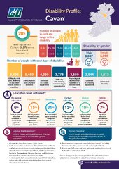 Disability Profile - Cavan