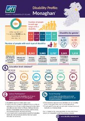 Disability Profile - Monaghan